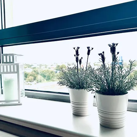 Ibis Spandau 호텔 2*